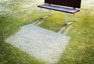 12 Examples of Frost Shadows