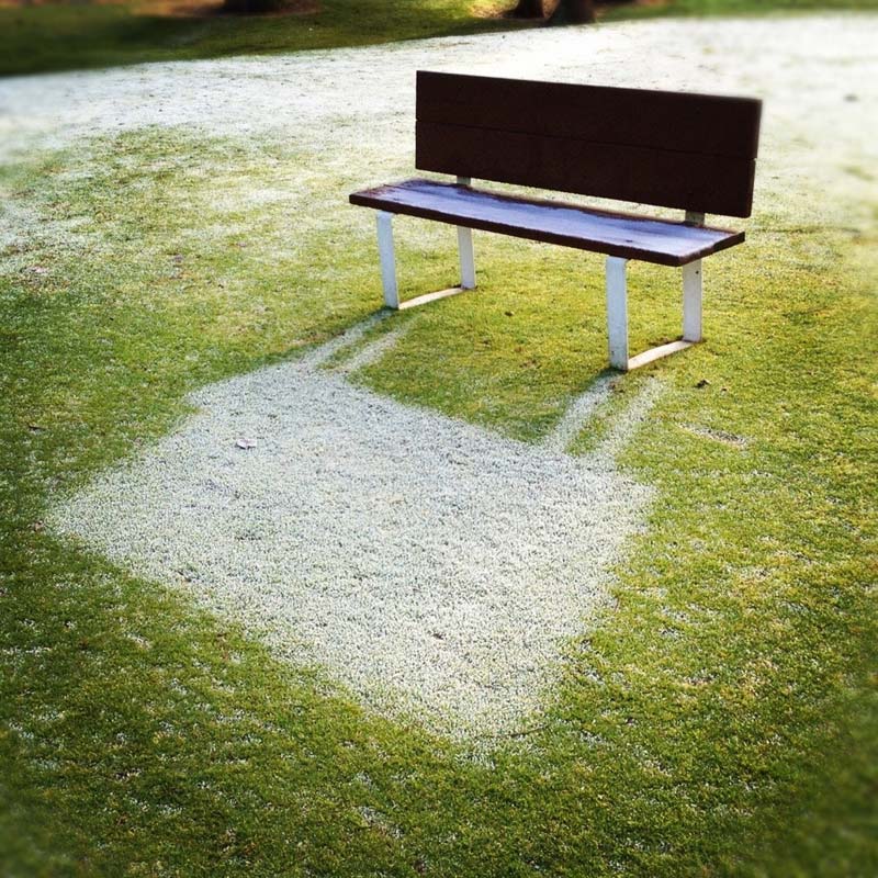 12 Examples of Frost Shadows