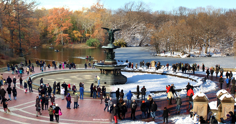 Picture of the Day: Central Park 90 Days Apart