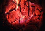 Picture of the Day: Inside a Firelog