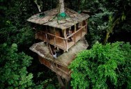 This Couple Built a Real-Life Ewok Village in Costa Rica