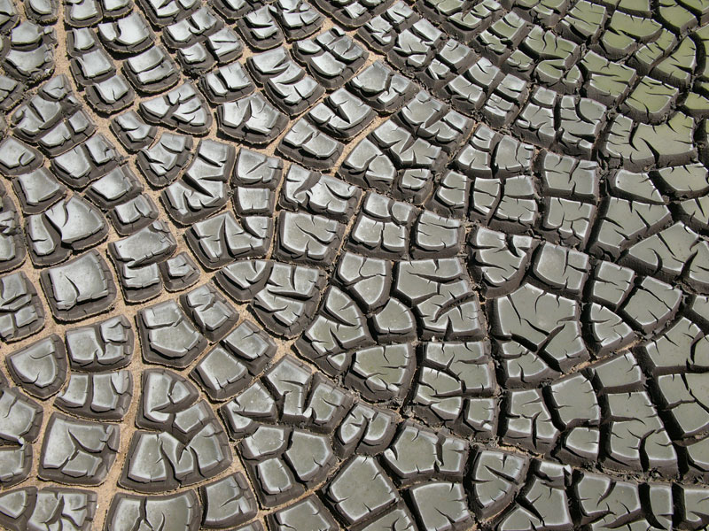 Picture of the Day: Desiccation Cracks