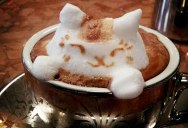 The Amazing Latte Art of Kazuki Yamamoto