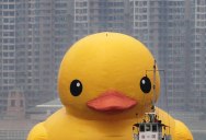 A Gigantic Rubber Duck Makes Its First Visit to China