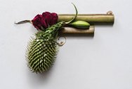 Harmless Weapons Made from Plants