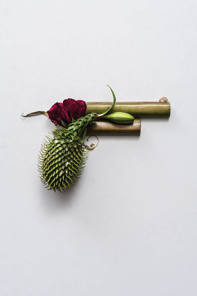 Harmless Weapons Made from Plants 
