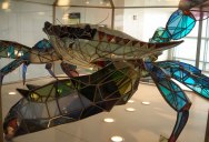 A 500 pound Blue Crab made from Stained Glass