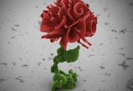 Self-Assembling Nano Flowers Grown in Lab