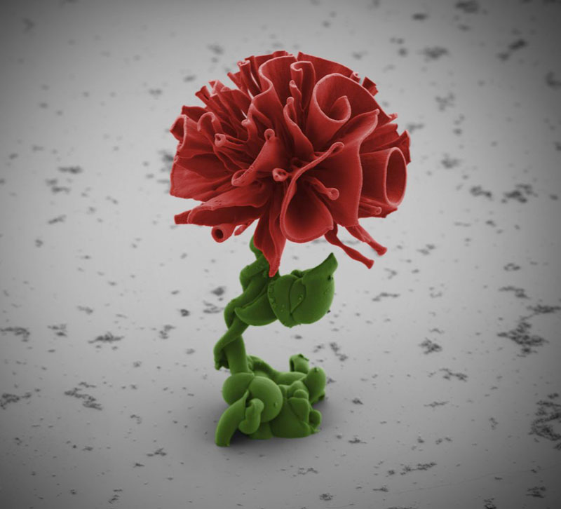 Self-Assembling Nano Flowers Grown in Lab