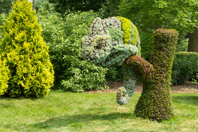 Jaw-Dropping Plant Sculptures from Mosaiculture International 2013 ...