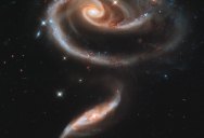 Picture of the Day: A Rose Made of Galaxies