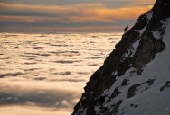 Picture of the Day: Lone Chamois Above the Clouds