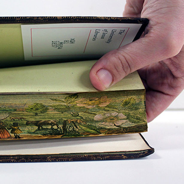 40 Hidden Artworks Painted on the Edges of Books