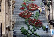 Picture of the Day: Giant Staircase Art Made from Potted Plants
