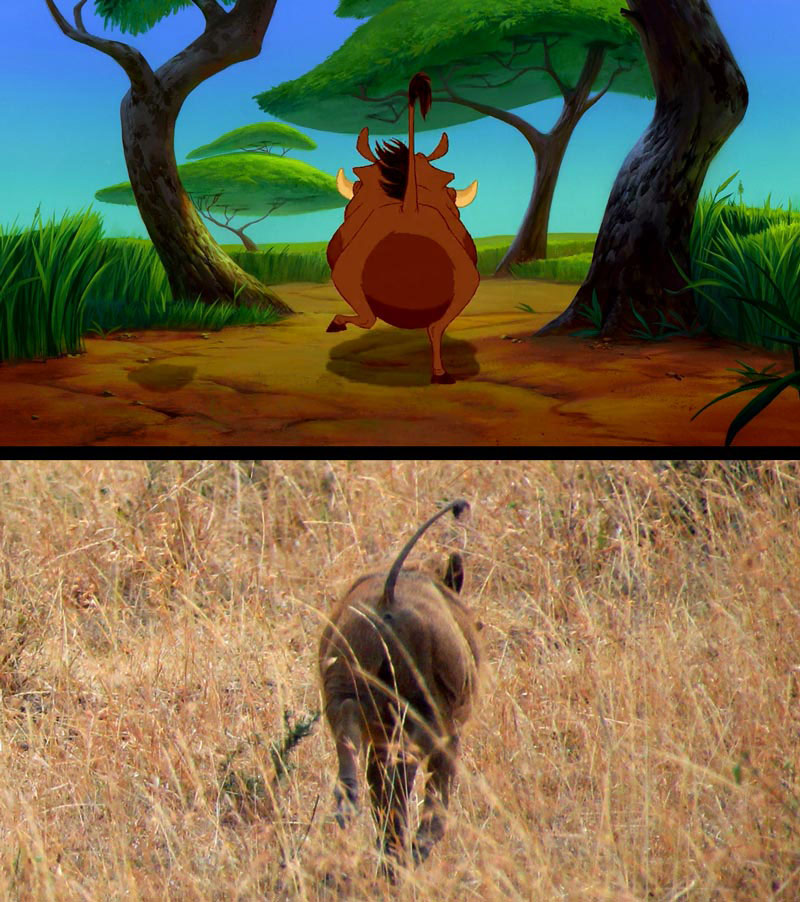 Recreating Scenes from the Lion King While on an Actual Safari