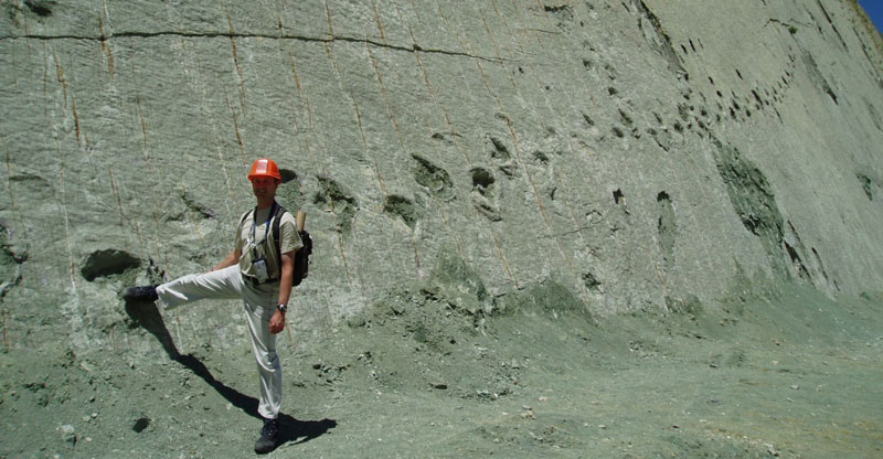 This 300 ft Wall in Bolivia has over 5000 Dinosaur Footprints