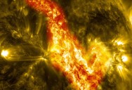 Picture of the Day: A Canyon of Fire on the Sun