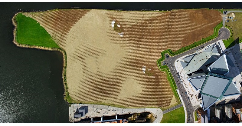 11 Acre Land Art Portrait is Largest Ever in the UK