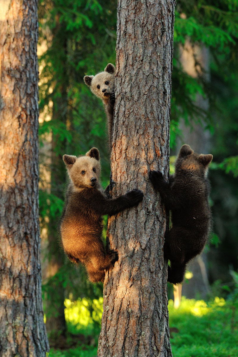 10 Outstanding Highlights from the 2013 Nat Geo Photo Contest ...