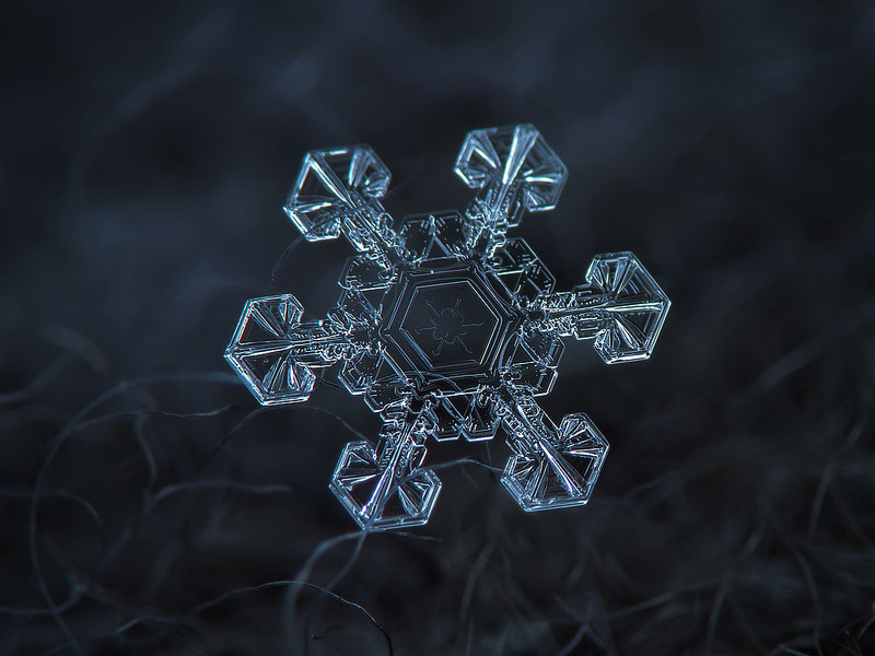 10 Amazing Close-Ups Show No Two Snowflakes are Alike