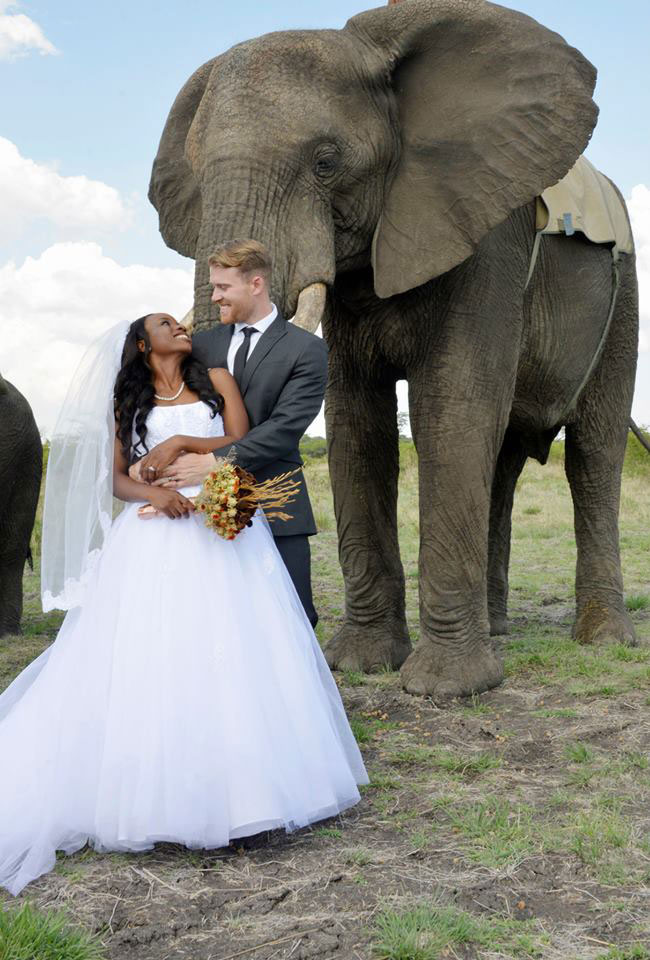 africa safari wedding