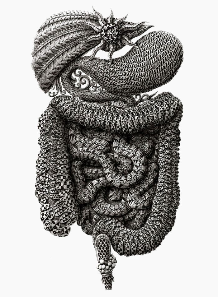 Incredibly Intricate Ink Illustrations by Alex Konahin » TwistedSifter