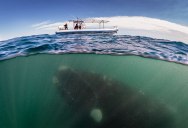 Picture of the Day: What Lurks Beneath