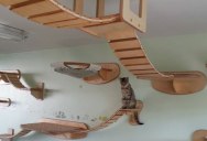 This Furniture Gives New Meaning to the Term ‘Ceiling Cat’