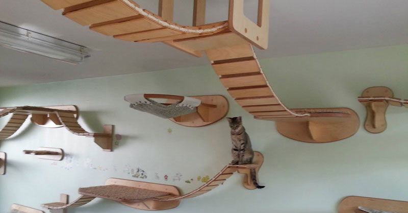 ceiling-cat » TwistedSifter