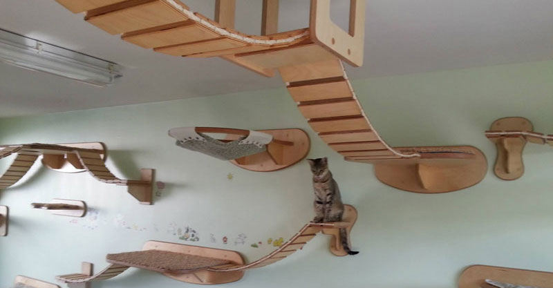 This Furniture Gives New Meaning to the Term 'Ceiling Cat'