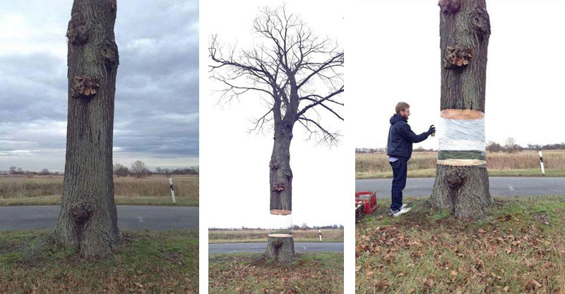 Artists Levitate Tree Using Foil and Spray Paint