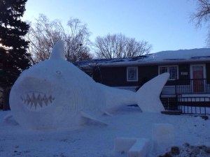 snow shark snow shark