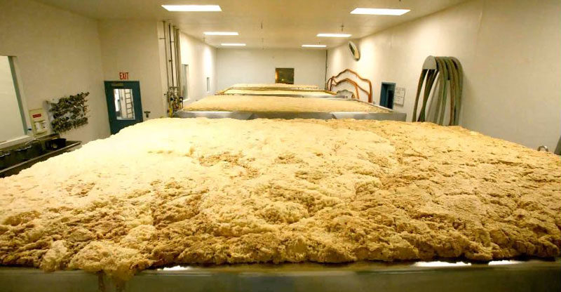 Check Out This Time-Lapse Video of Beer Being Made
