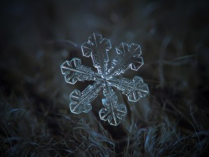 close up of a single snowflake 2 close up of a single snowflake (2)