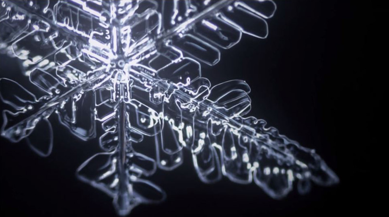 This Time-Lapse Video of Snowflakes Being Formed is Absolutely ...