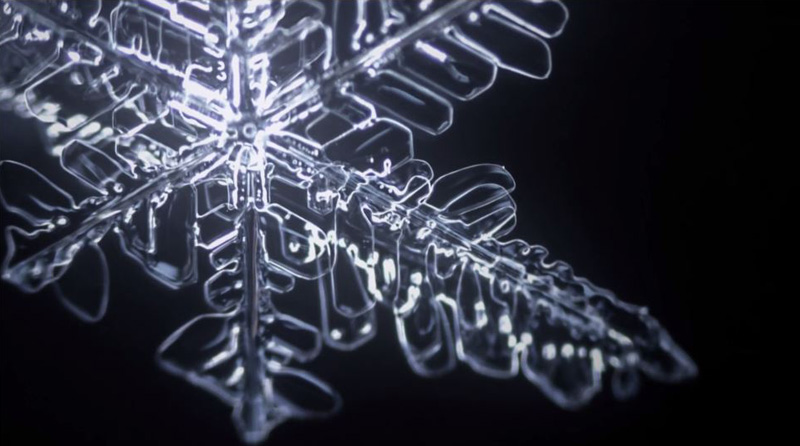 This Time-Lapse Video of Snowflakes Being Formed is Absolutely Beautiful