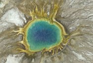 Inside the Eye: Nature’s Most Exquisite Creation (10 Photos)