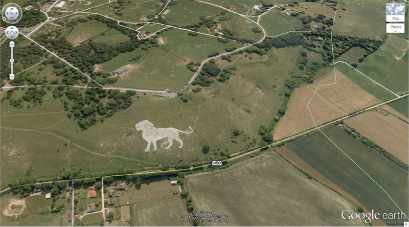 lion-google earth