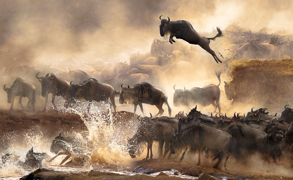 Winners Highlights from the 2014 Sony World Photography Awards