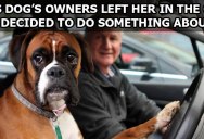 This Dog’s Owners Left Her in the Car. She Decided to Do Something About It