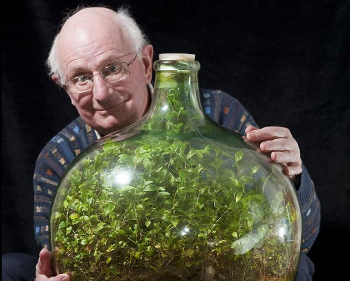 This Sealed Bottle Garden Hasn't Been Watered Since 1972