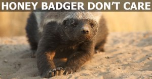 honey badger dont care HONEY BADGER DONT CARE