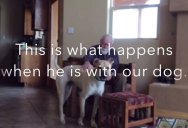 This Father Has Non-Verbal Alzhheimer’s. Watch What Happens When He’s with the Family Dog