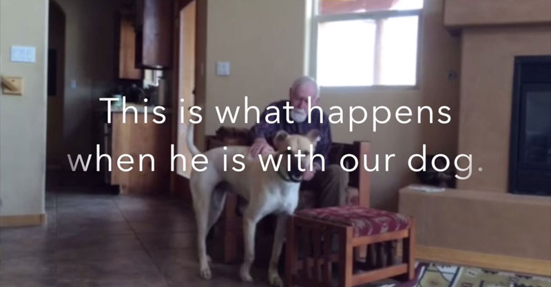 This Father Has Non-Verbal Alzhheimer's. Watch What Happens When He's with the Family Dog