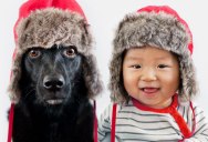 How a Rescue Dog from Taiwan and Baby Boy from LA became Best Friends