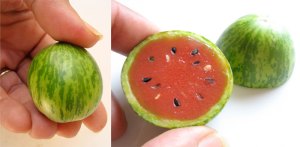 baby watermelon baby watermelon