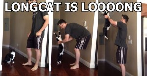 gifs of hugging cat funny reddit gifs of hugging cat funny reddit