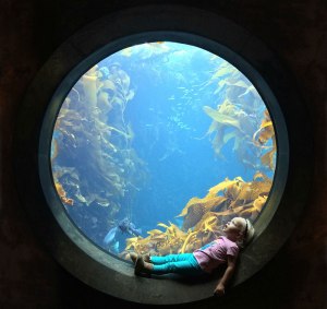 sitting in circular window at the aquarium sitting in circular window at the aquarium