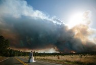 Picture of the Day: Weddings and Wildfire