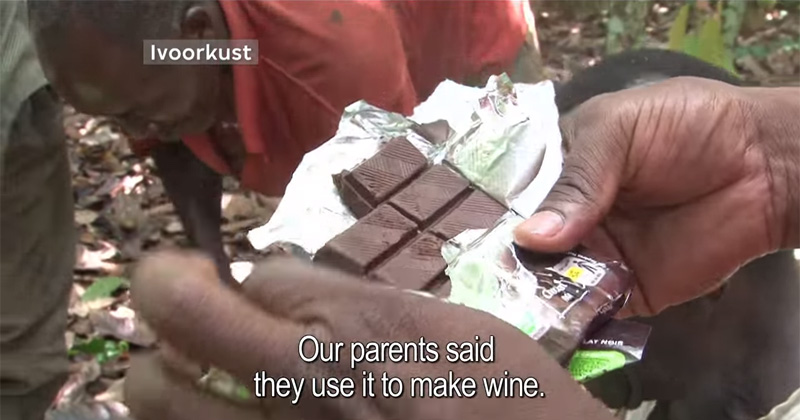 Cocoa Farmers Tasting Chocolate for the First Time in their Lives